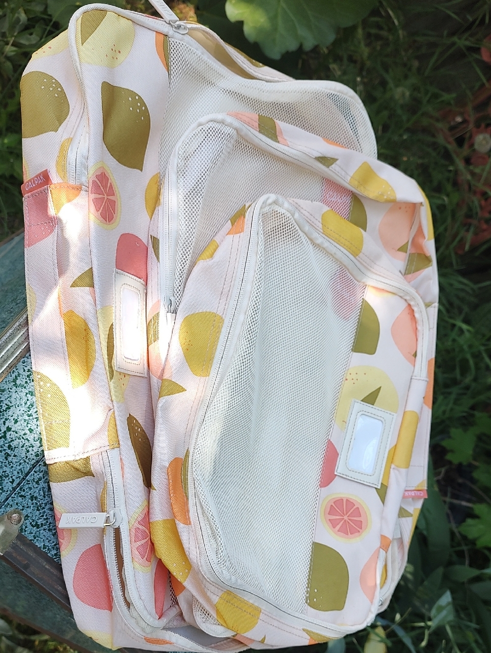 Calpak Citrus Print Garment Bag Set - Pink, Yellow, Green
